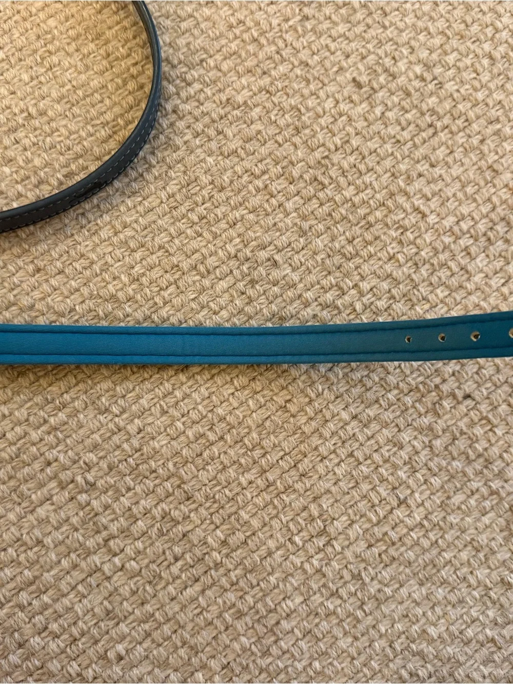 Blue Vegan Leather Dog Collar and Leash set with dachshund detail